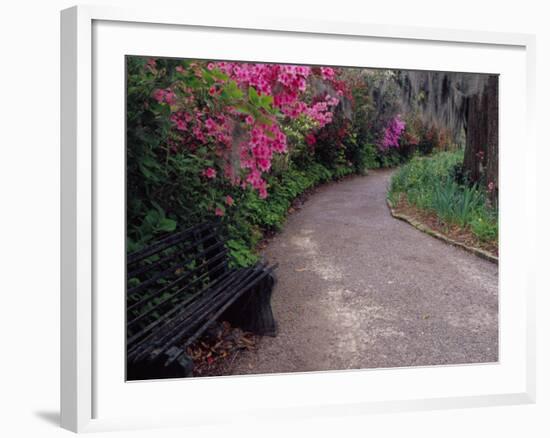 Pathway and Bench in Magnolia Plantation and Gardens, Charleston, South Carolina, USA-Julie Eggers-Framed Photographic Print