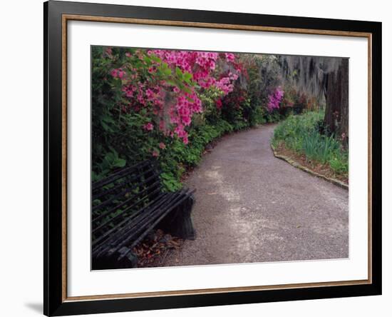 Pathway and Bench in Magnolia Plantation and Gardens, Charleston, South Carolina, USA-Julie Eggers-Framed Photographic Print