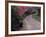 Pathway and Bench in Magnolia Plantation and Gardens, Charleston, South Carolina, USA-Julie Eggers-Framed Photographic Print