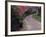 Pathway and Bench in Magnolia Plantation and Gardens, Charleston, South Carolina, USA-Julie Eggers-Framed Photographic Print