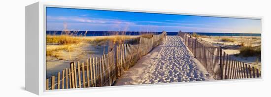 Pathway and Sea Oats on Beach at Santa Rosa Island Near Pensacola, Florida-null-Framed Stretched Canvas