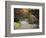 Pathway and Stone Bridge at the Japanese Garden, Seattle, Washington, USA-Jamie & Judy Wild-Framed Photographic Print