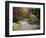 Pathway and Stone Bridge at the Japanese Garden, Seattle, Washington, USA-Jamie & Judy Wild-Framed Photographic Print