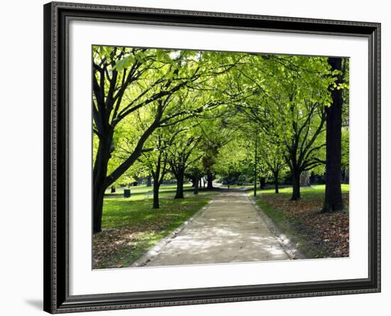 Pathway and Trees, Kings Domain, Melbourne, Victoria, Australia-David Wall-Framed Photographic Print