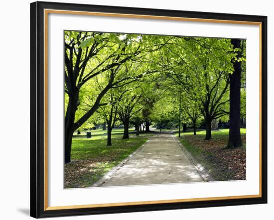 Pathway and Trees, Kings Domain, Melbourne, Victoria, Australia-David Wall-Framed Photographic Print