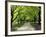 Pathway and Trees, Kings Domain, Melbourne, Victoria, Australia-David Wall-Framed Photographic Print