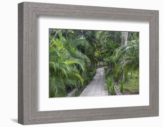 Pathway, Hemingway House, Hemingway Museum, Finca Vigia, Havana, Cuba-Adam Jones-Framed Photographic Print