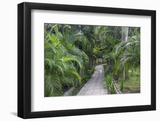 Pathway, Hemingway House, Hemingway Museum, Finca Vigia, Havana, Cuba-Adam Jones-Framed Photographic Print