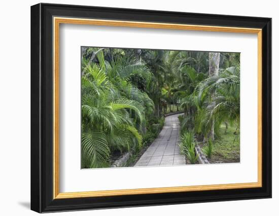 Pathway, Hemingway House, Hemingway Museum, Finca Vigia, Havana, Cuba-Adam Jones-Framed Photographic Print