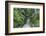 Pathway, Hemingway House, Hemingway Museum, Finca Vigia, Havana, Cuba-Adam Jones-Framed Photographic Print