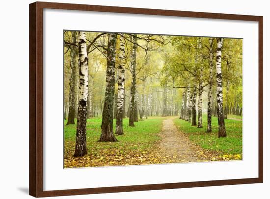 Pathway in Autumn Fog Birch Forest-LeniKovaleva-Framed Photographic Print