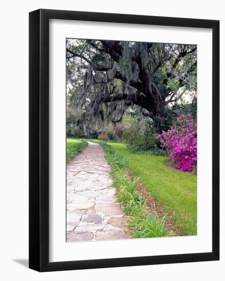 Pathway in Magnolia Plantation and Gardens, Charleston, South Carolina, USA-Julie Eggers-Framed Photographic Print