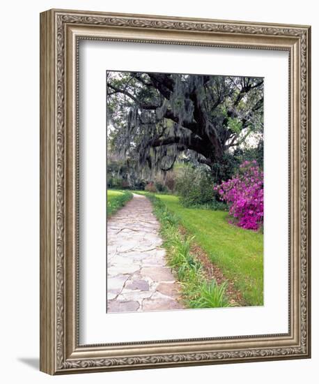 Pathway in Magnolia Plantation and Gardens, Charleston, South Carolina, USA-Julie Eggers-Framed Photographic Print
