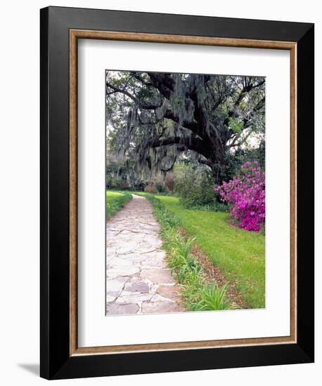 Pathway in Magnolia Plantation and Gardens, Charleston, South Carolina, USA-Julie Eggers-Framed Photographic Print