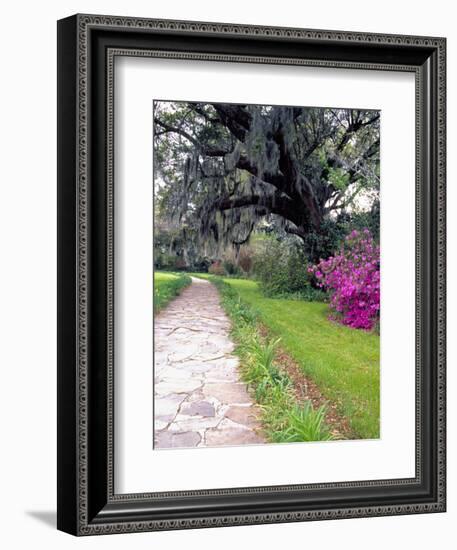 Pathway in Magnolia Plantation and Gardens, Charleston, South Carolina, USA-Julie Eggers-Framed Photographic Print