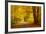 Pathway in the Autumn Forest-sborisov-Framed Photographic Print