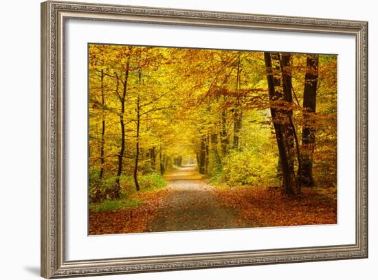 Pathway in the Autumn Forest-sborisov-Framed Photographic Print