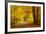 Pathway in the Autumn Forest-sborisov-Framed Photographic Print