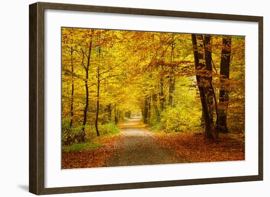 Pathway in the Autumn Forest-sborisov-Framed Photographic Print