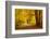 Pathway in the Autumn Forest-sborisov-Framed Photographic Print