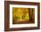 Pathway in the Autumn Forest-sborisov-Framed Photographic Print