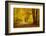 Pathway in the Autumn Forest-sborisov-Framed Photographic Print