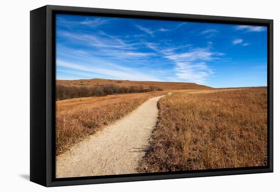 Pathway into the Prairie-tomofbluesprings-Framed Premier Image Canvas