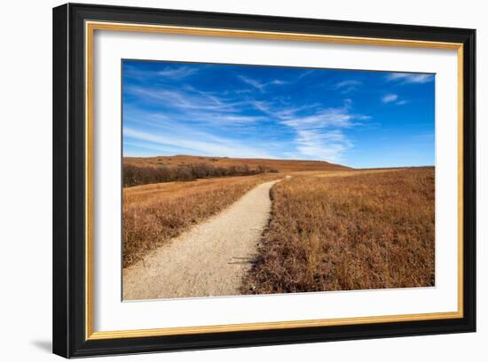 Pathway into the Prairie-tomofbluesprings-Framed Photographic Print