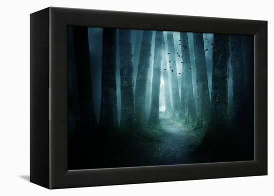 Pathway through A Dark Forest-solarseven-Framed Premier Image Canvas