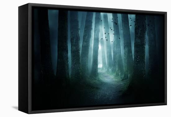 Pathway through A Dark Forest-solarseven-Framed Premier Image Canvas