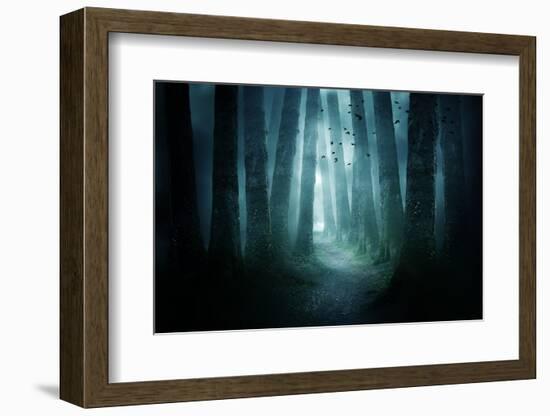 Pathway through A Dark Forest-solarseven-Framed Photographic Print