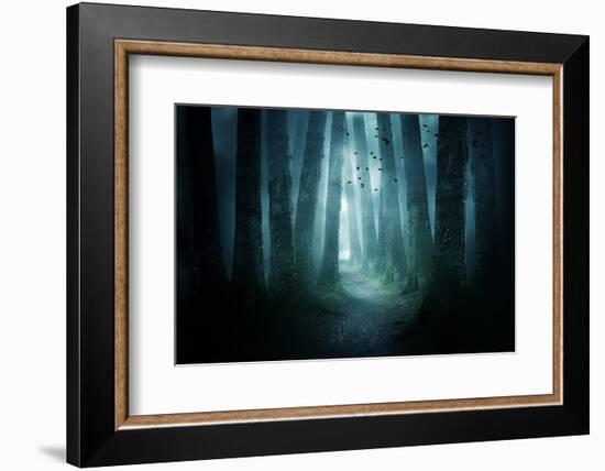 Pathway through A Dark Forest-solarseven-Framed Photographic Print