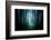 Pathway through A Dark Forest-solarseven-Framed Photographic Print