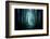 Pathway through A Dark Forest-solarseven-Framed Photographic Print