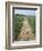 Pathway Through Field, Essex, United Kingdom-Jeremy Bright-Framed Photographic Print