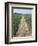 Pathway Through Field, Essex, United Kingdom-Jeremy Bright-Framed Photographic Print