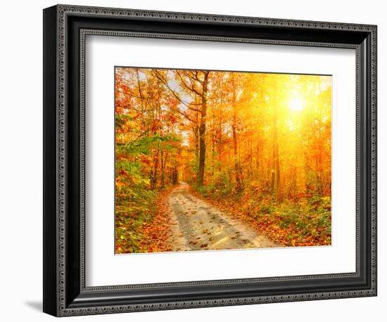 Pathway through the Autumn Forest-sborisov-Framed Photographic Print