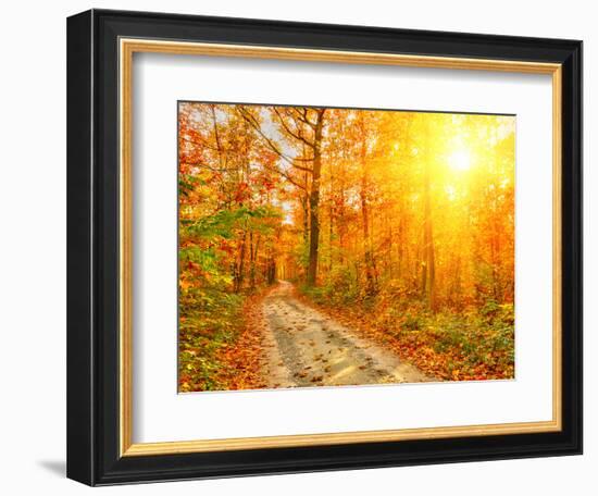 Pathway through the Autumn Forest-sborisov-Framed Photographic Print