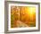 Pathway through the Autumn Forest-sborisov-Framed Photographic Print