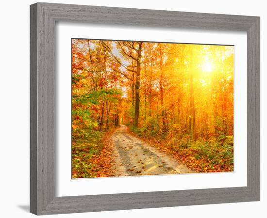 Pathway through the Autumn Forest-sborisov-Framed Photographic Print