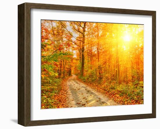 Pathway through the Autumn Forest-sborisov-Framed Photographic Print