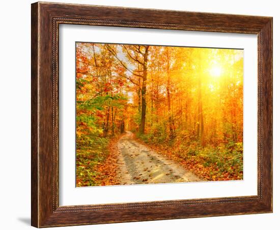 Pathway through the Autumn Forest-sborisov-Framed Photographic Print