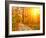 Pathway through the Autumn Forest-sborisov-Framed Photographic Print