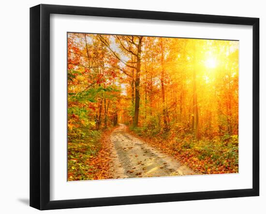 Pathway through the Autumn Forest-sborisov-Framed Photographic Print
