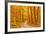 Pathway through the Autumn Forest-sborisov-Framed Photographic Print