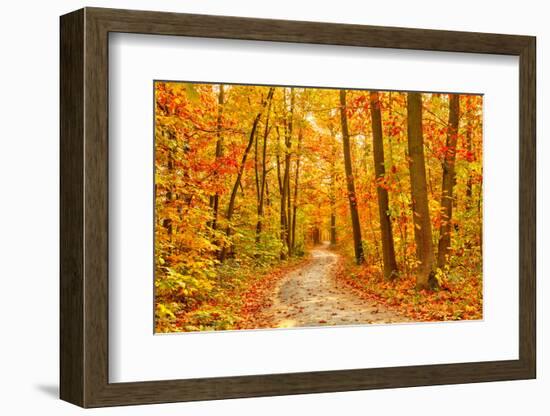 Pathway through the Autumn Forest-sborisov-Framed Photographic Print