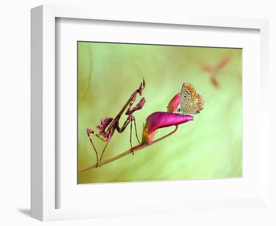 Patience-Jimmy Hoffman-Framed Photographic Print