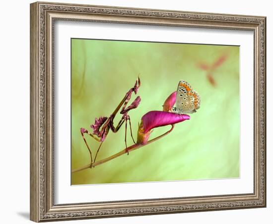 Patience-Jimmy Hoffman-Framed Photographic Print