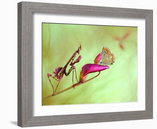 Patience-Jimmy Hoffman-Framed Photographic Print