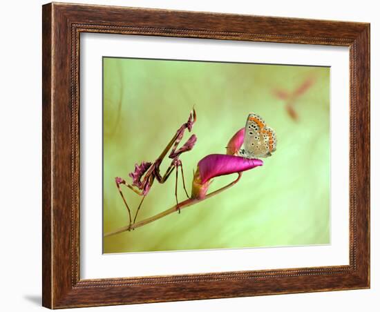 Patience-Jimmy Hoffman-Framed Photographic Print